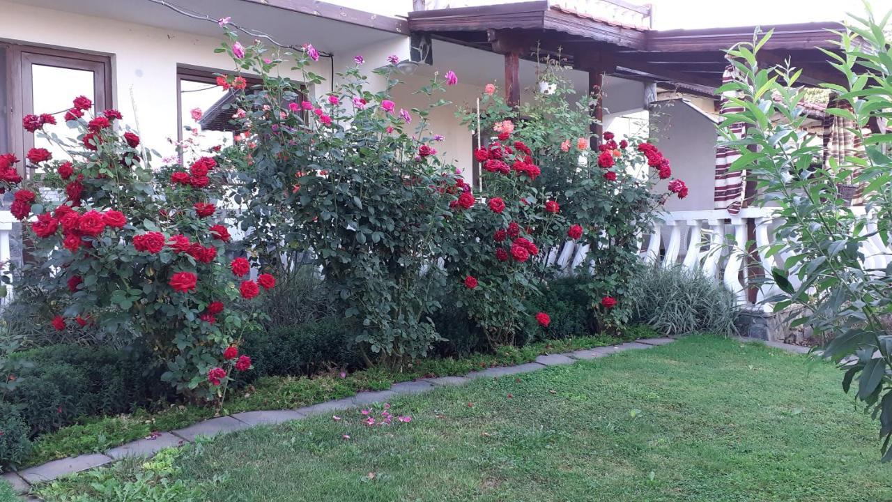 Guesthouse Dida ساباريفا بانيا المظهر الخارجي الصورة