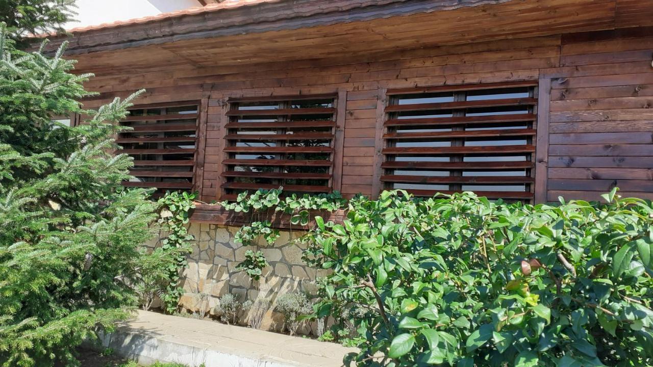 Guesthouse Dida ساباريفا بانيا المظهر الخارجي الصورة