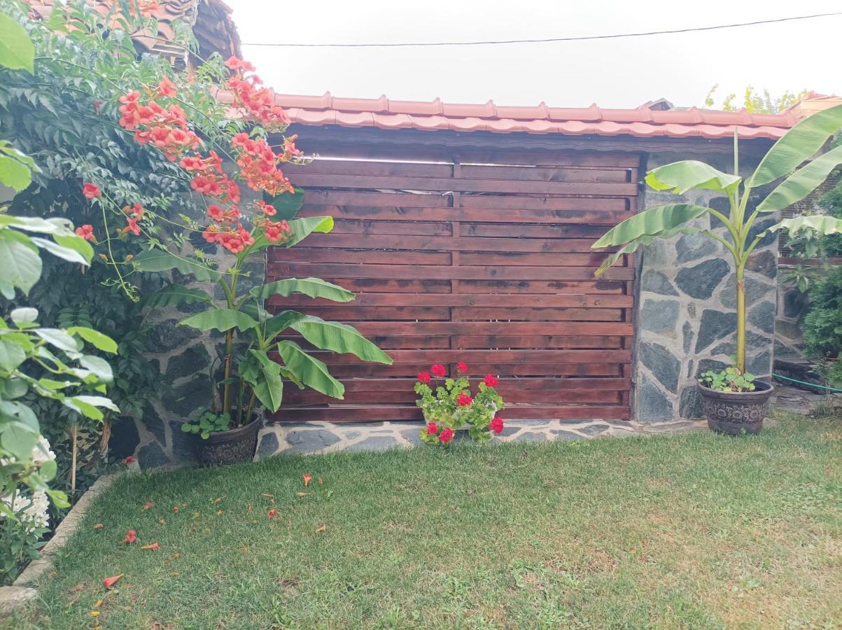 Guesthouse Dida ساباريفا بانيا المظهر الخارجي الصورة
