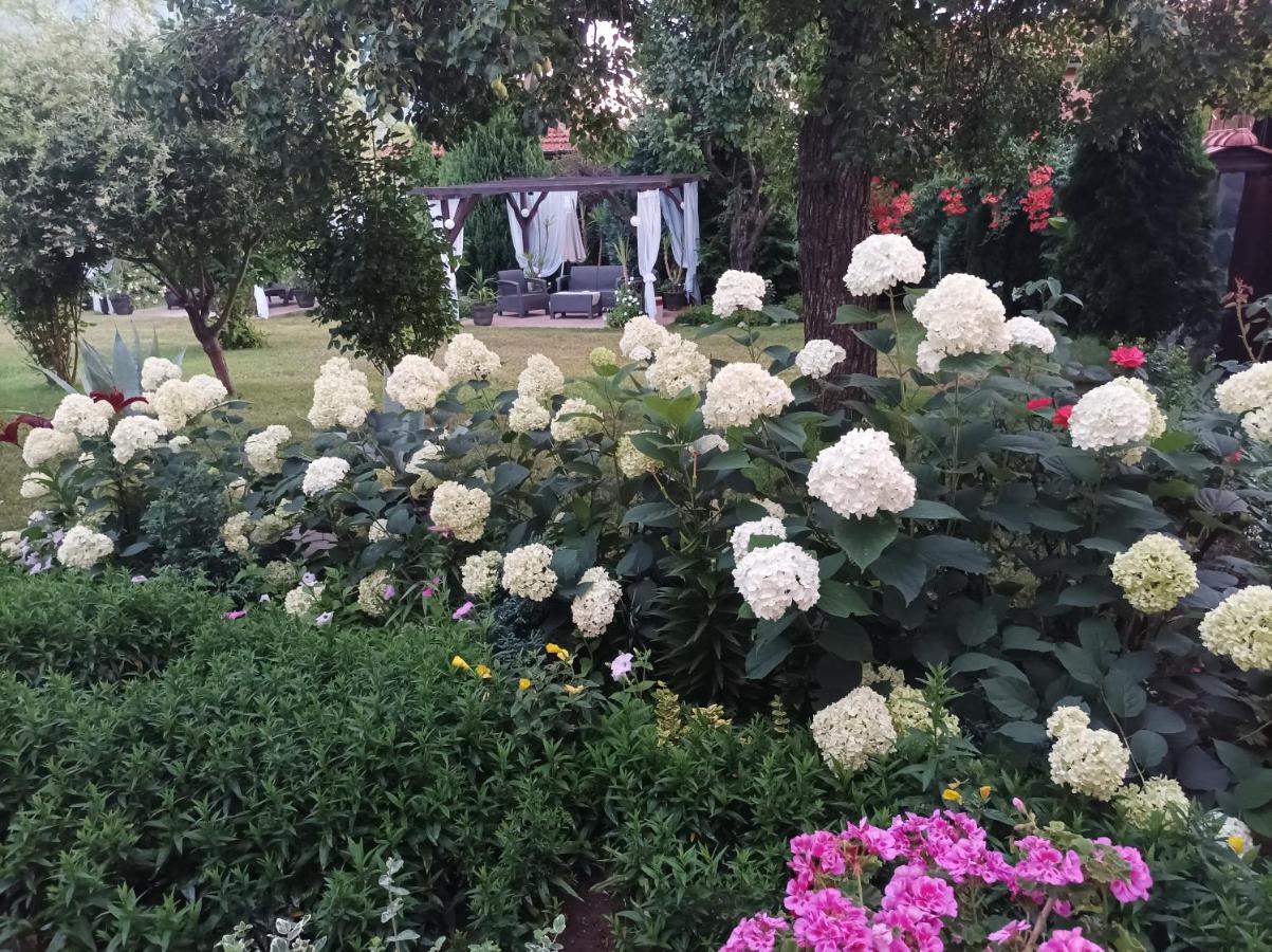 Guesthouse Dida ساباريفا بانيا المظهر الخارجي الصورة